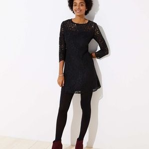 NWT Loft lace dress